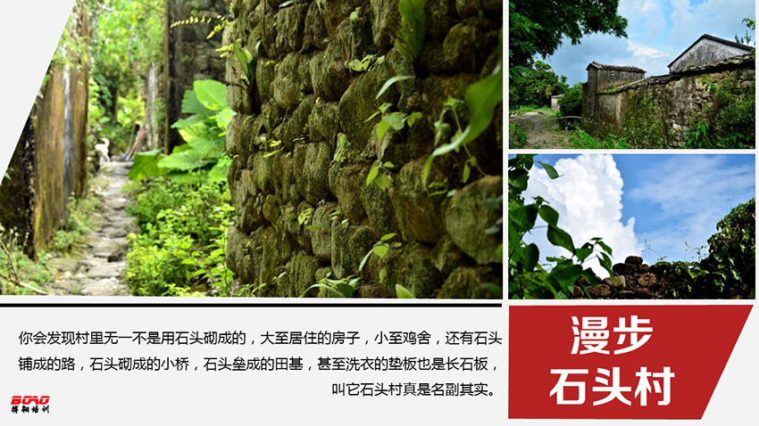 高山草甸龍頭嶺