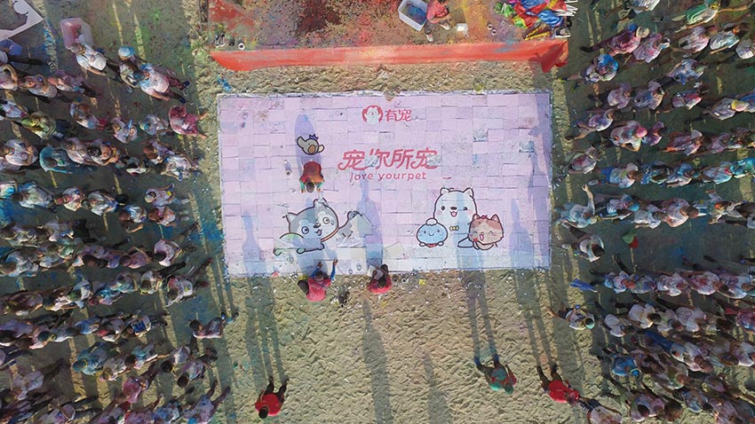 有寵網(wǎng)絡(luò)“青春不留白”彩色跑